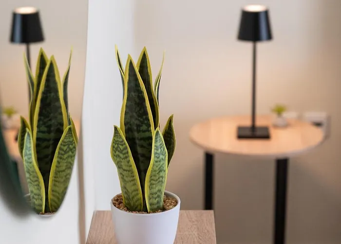 Town, 3 Min To - Kyma 3 * Cós